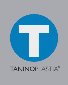 logo_T